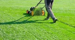 Lawn Maintenance