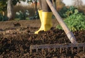 Soil Preparation