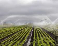 Irrigation Management