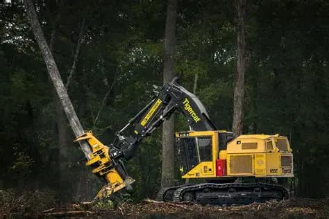 Feller Buncher